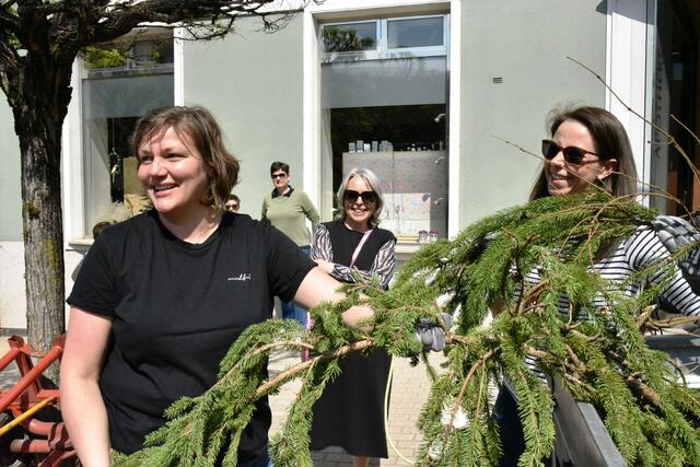 Foto: Gerald Dreisiebner