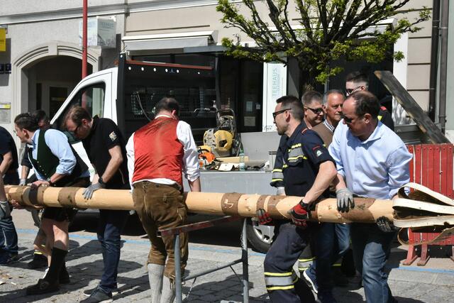 Foto: Gerald Dreisiebner