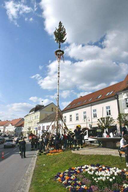 Foto: Gerald Dreisiebner