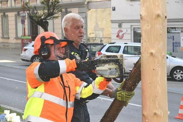 Foto: Gerald Dreisiebner