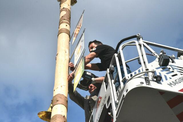 Foto: Gerald Dreisiebner