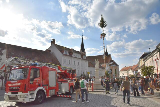 Foto: Gerald Dreisiebner