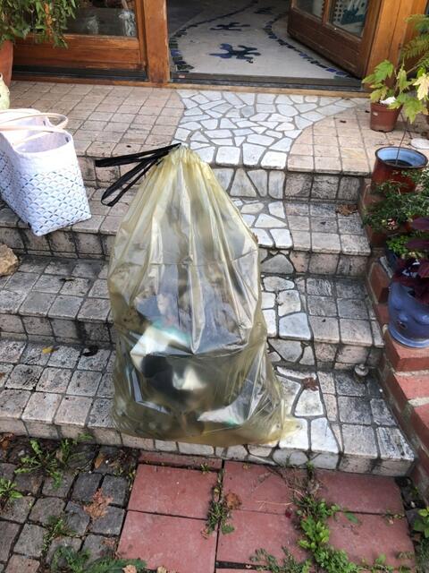 Foto: Madeleine Schreiber