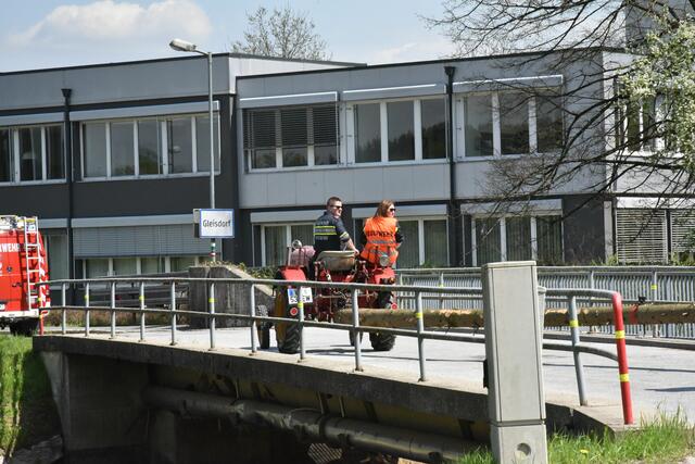 Foto: Gerald Dreisiebner