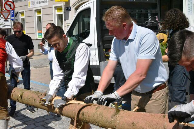 Foto: Gerald Dreisiebner