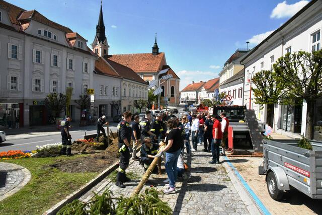 Foto: Gerald Dreisiebner