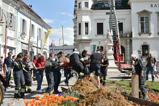 Foto: Gerald Dreisiebner