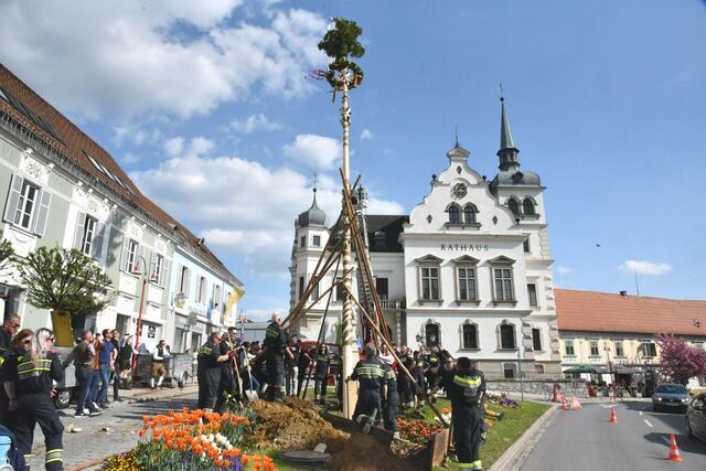 Foto: Gerald Dreisiebner