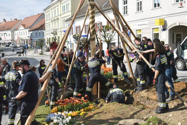 Foto: Gerald Dreisiebner