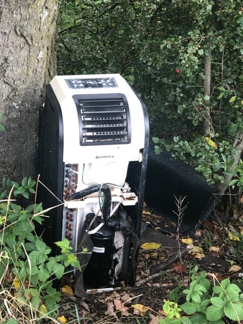 Nicht nur Bäume sind im Wald zu finden | Foto: Madeleine Schreiber