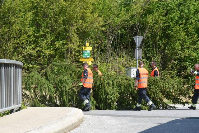 Foto: Gerald Dreisiebner