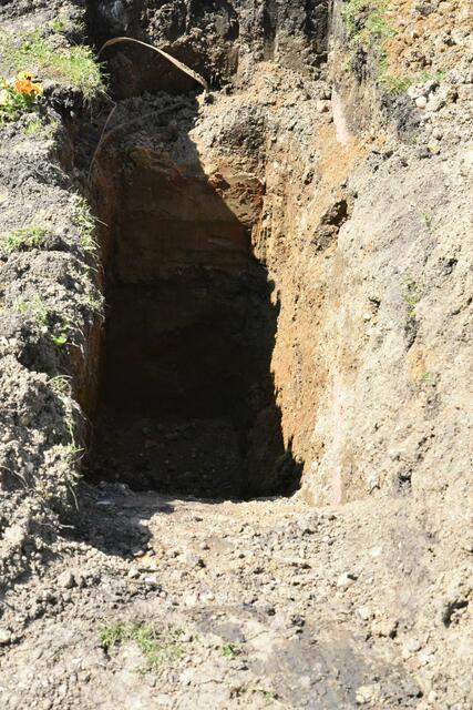 Foto: Gerald Dreisiebner