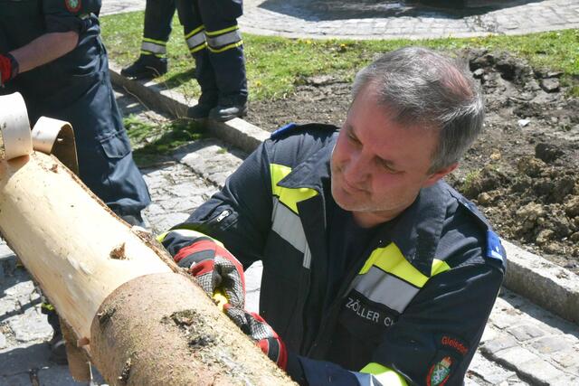 Foto: Gerald Dreisiebner