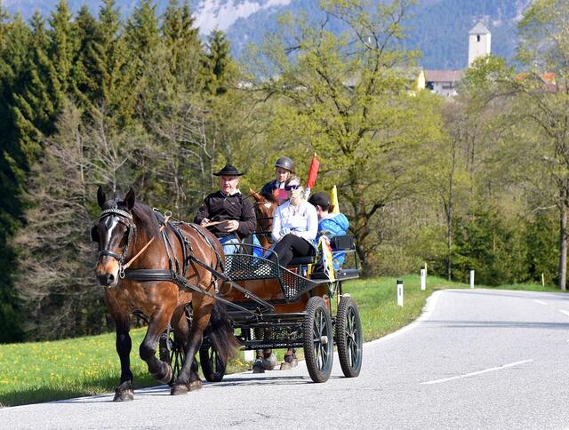 Anreise zum Internationalen Pferdetreffen nach Coccau, Gemeinde Tarvisio. | Foto: Hans Jost