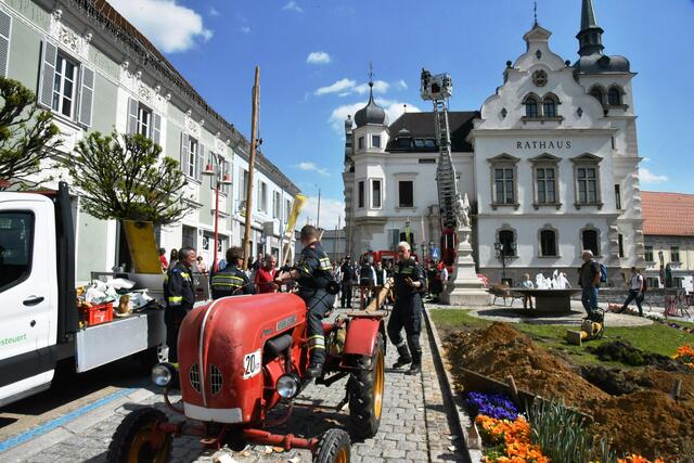 Foto: Gerald Dreisiebner