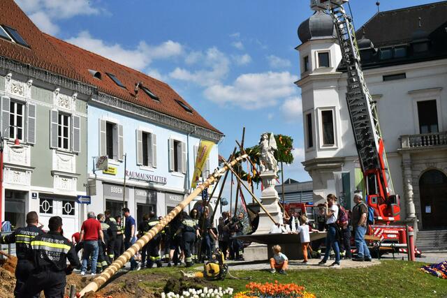 Foto: Gerald Dreisiebner