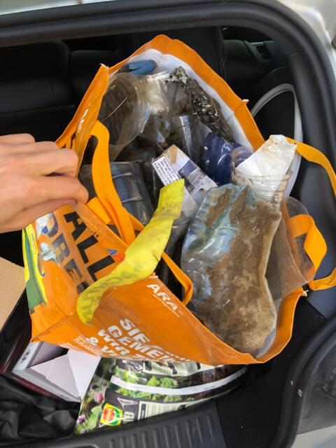 Die Natur als Mistkübel missbraucht | Foto: Madeleine Schreiber