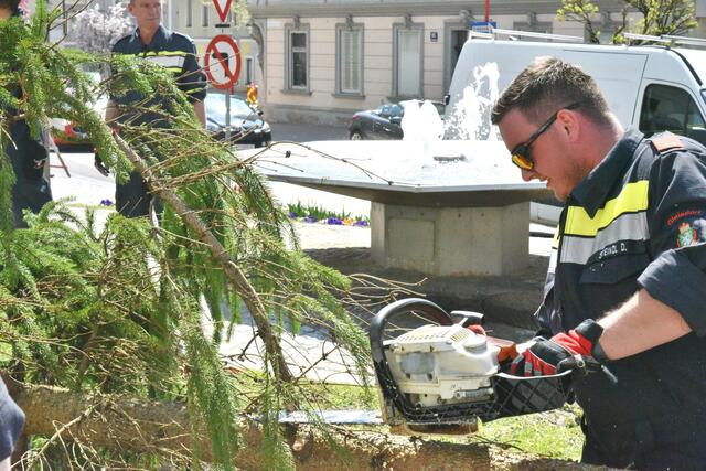 Foto: Gerald Dreisiebner