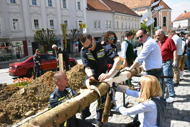 Foto: Gerald Dreisiebner