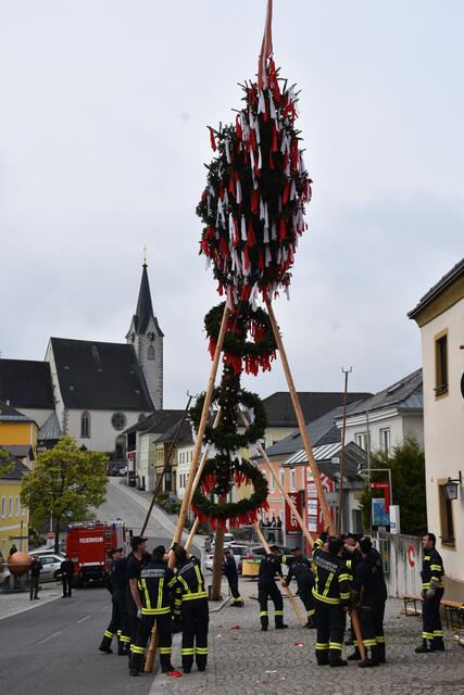Nach der Corona-Pause hat der Markt Pabneukirchen 2022 wieder einen stattlichen Maibaum.  | Foto: Zinterhof
