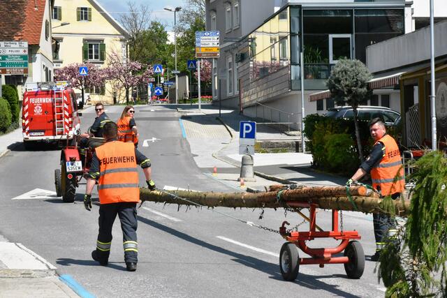 Foto: Gerald Dreisiebner