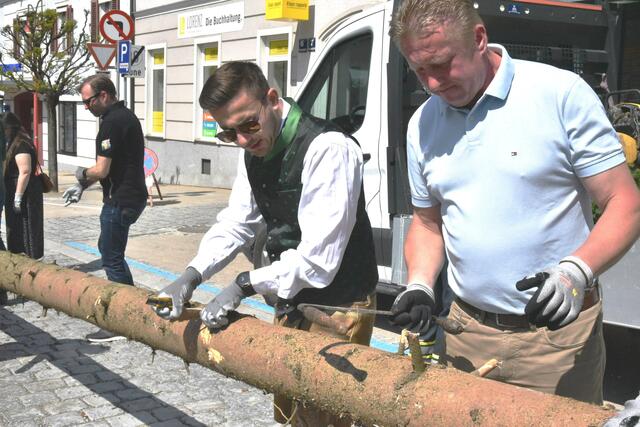 Foto: Gerald Dreisiebner