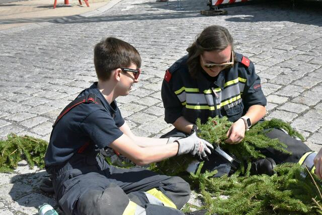 Foto: Gerald Dreisiebner