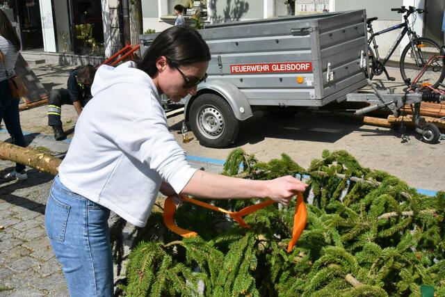 Foto: Gerald Dreisiebner