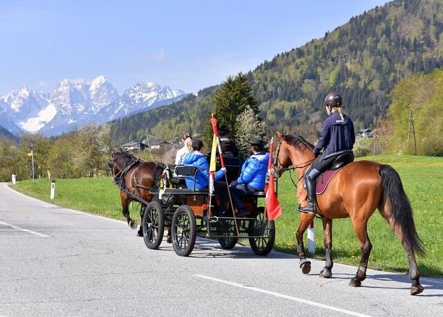 Kurz vor der Grenze winken schon die noch schneebedeckten Julischen Alpen wie der Jof die Montasio. | Foto: Hans Jost