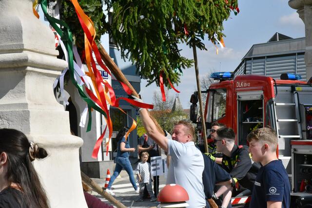 Foto: Gerald Dreisiebner