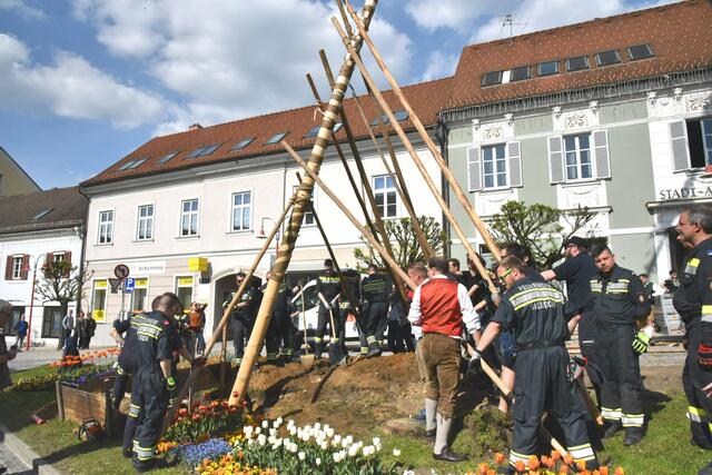 Foto: Gerald Dreisiebner