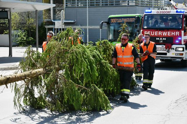 Foto: Gerald Dreisiebner