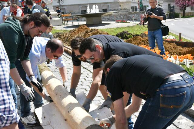 Foto: Gerald Dreisiebner