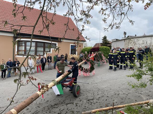 Mit vereinten Kräften wurde der Maibaum aufgestellt. Auch der Wettergott spielte mit. | Foto: Waltraud Fischer