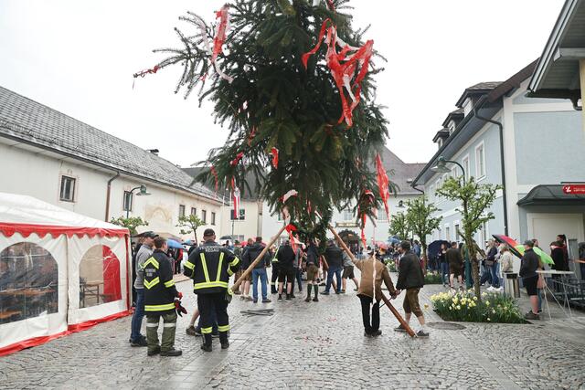 Foto: Helmut Klein