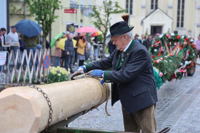 Foto: Helmut Klein