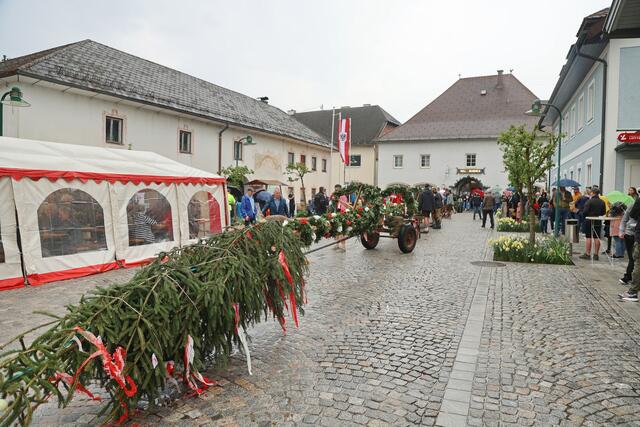 Foto: Helmut Klein