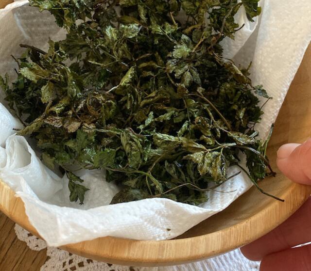 Giersch Chips - der gesunde Snack für Zwischendurch