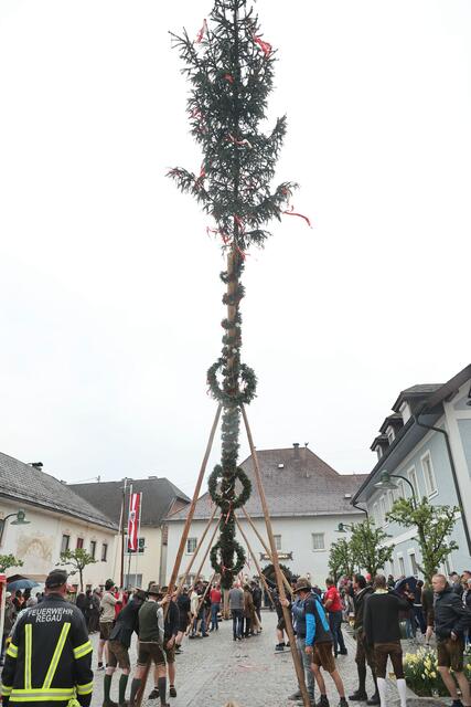 Foto: Helmut Klein