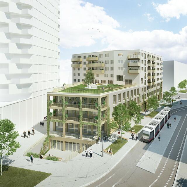 Unter dem Titel "die HausWirtschaft" wird bis 2023 Projekt der besonderen Art im Nordbahnviertel gebaut: Unter einem Dach erden Arbeiten, Wohnen Kultur und Gesundheitszentrum vereint.
 | Foto: einszueins Architektur