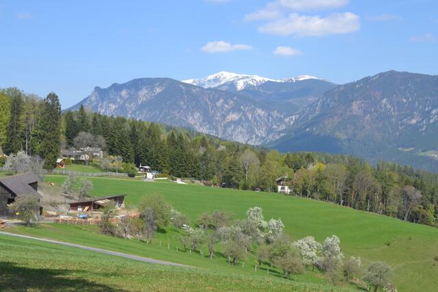 Ausblick zum Schneeberg auf dieser Wanderung