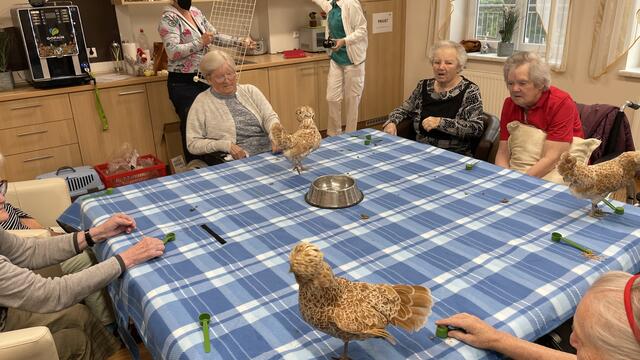 Foto: RegionalMedien_Eisner