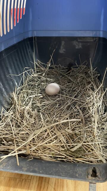 Foto: RegionalMedien_Eisner