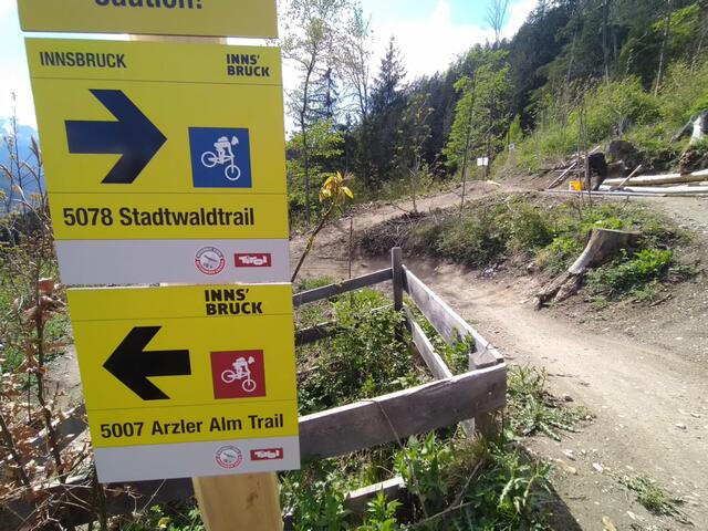 Neuer Stadtwaldtrail soll für Entlastung sorgen, der Arzler Alm Trail und der Hungerburgtrail haben mehr als 45.000 Fahrten pro Jahr . | Foto: IKM