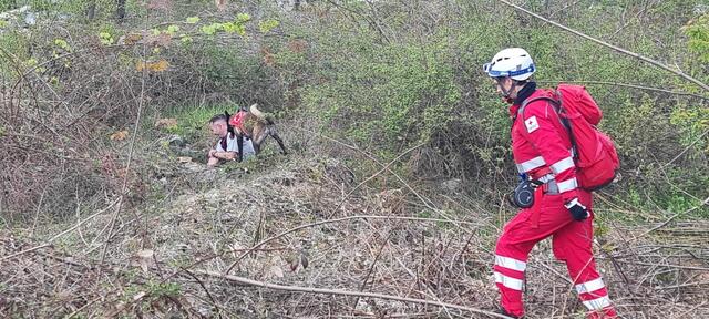 Foto:  RK NÖ / H. Karner