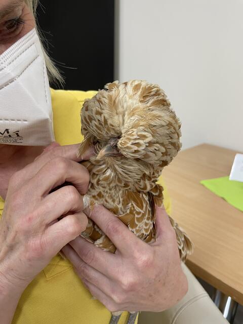 Foto: RegionalMedien_Eisner