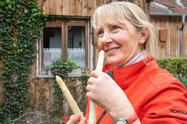 Frischer steirischer Spargel ist da und er duftet – ein Edel-Gemüse mit sehr viel Handarbeit.  | Foto: LK/Danner