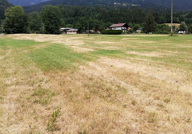 Dürre auf heimischen Feldern. | Foto: ÖHV