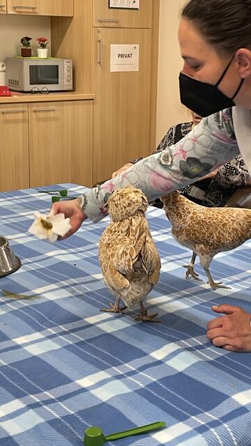 Foto: RegionalMedien_Eisner