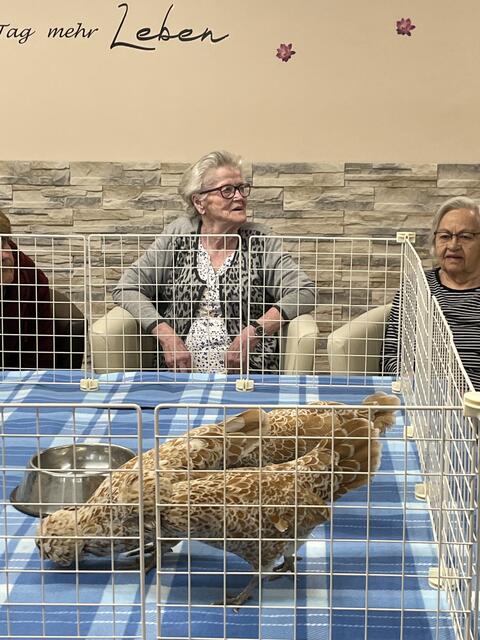 Foto: RegionalMedien_Eisner